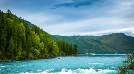 神州租車在新疆、青海、甘肅、云南、四川等西部省區(qū)集中投放5000臺(tái)新車 